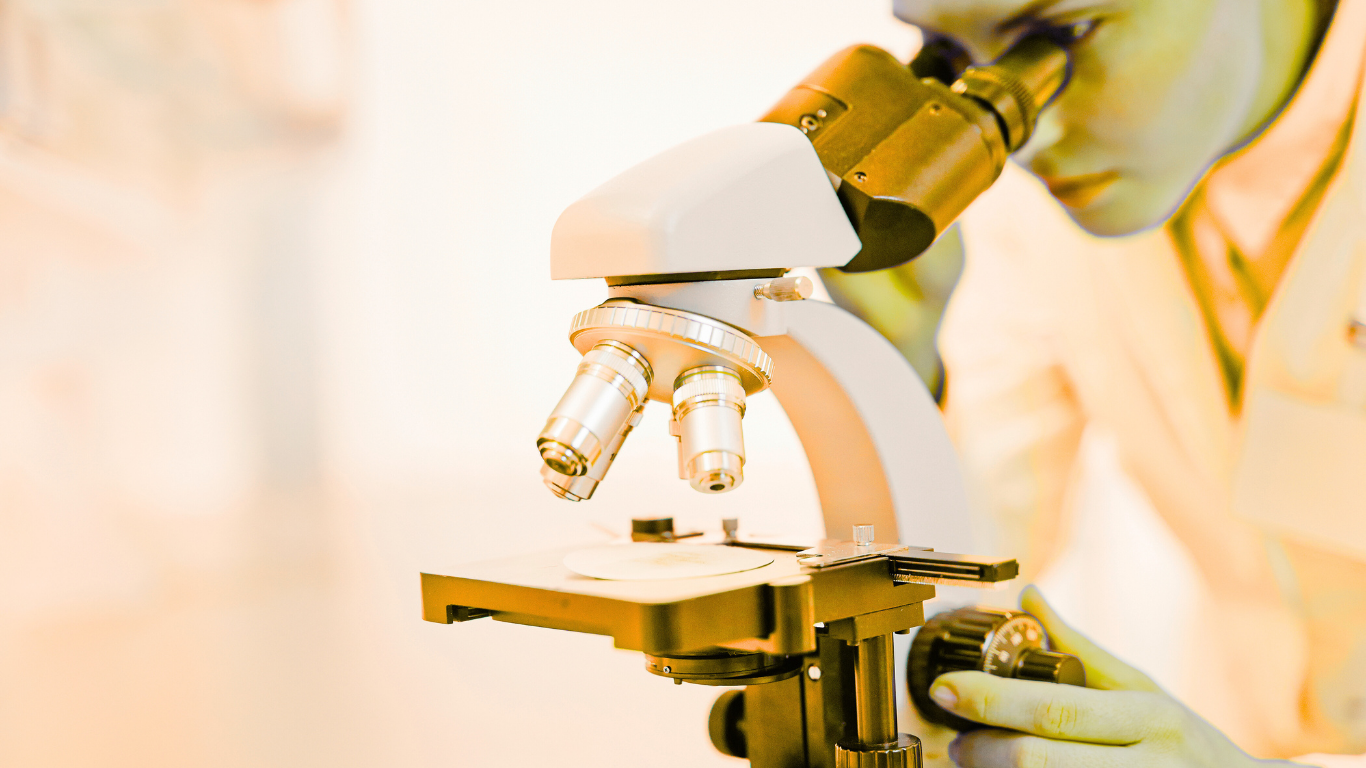 Présentation HAMITECH